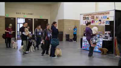 Welcome to the Salon Freestyle
class tournament. - Dogs