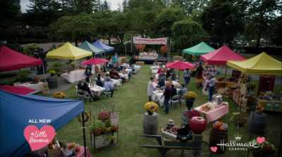 Welcome to the Sunset
Valley Olive Oil Competition. - Love Under the Olive Tree