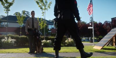 Welcome to the tryouts for this year's K9 academy - Rescued by Ruby