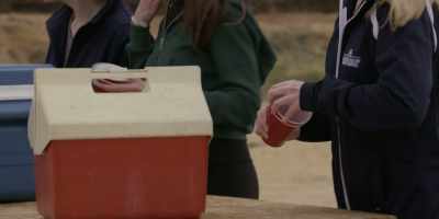 Welcome to Thirsty Balls, - Walker