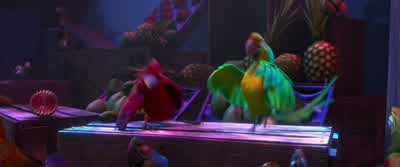 Welcome to paradise! - Rio