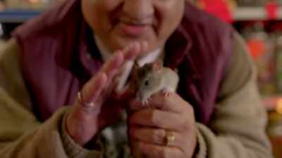 'Welcome to your new home.' - Ratburger