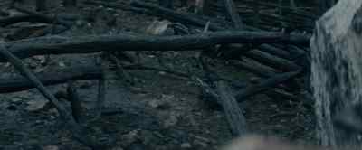 Well, if a job's worth doing, - War of the Worlds