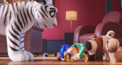 - Well, he ain't staying here.
- Kitty, kitty, - The Secret Life of Pets 2