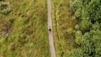 Well, after all that romanticism - Iain Robertson Rambles
