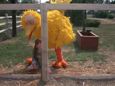 Well, Anyway, - Follow That Bird