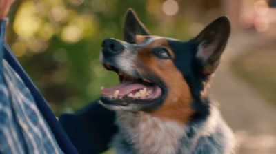 Well...Anyway,
they worked on it together, - Pups Alone