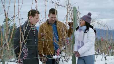 Well, we are going to put on - A Vineyard Christmas