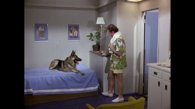 Well, aren't you a nice big
doggie. - The Love Boat