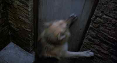 Well, at least feed my dog,
please! - Tales from the Crypt