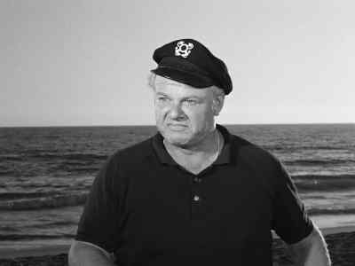 Well, at least I saved
the wheel, Skipper. - Gilligan's Island