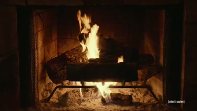 Well, babe, it's...
It's rustic, you know? - Adult Swim Yule Log