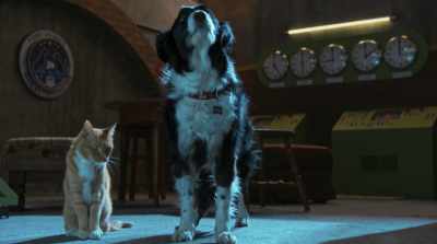 Well, back's a
little stiff. I've been - Cats & Dogs 3: Paws Unite