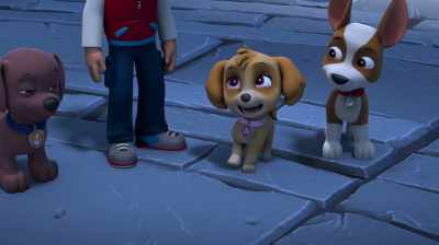 We'll be back soon, Your
Highness, - PAW Patrol: Jet To The Rescue