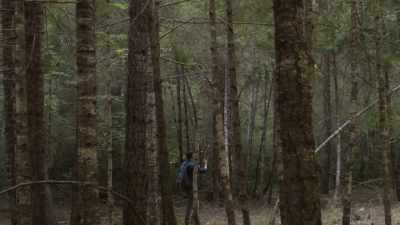 Well, Bob, it's your spirit - Expedition Bigfoot