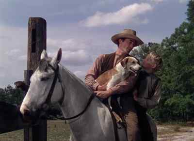 Well, boy... sounds like we're here. - The Yearling