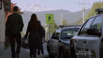 Well, you called me in
so you must need me back - Last Scene Alive: An Aurora Teagarden Mystery