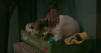 Well, can you bring him back?
It's not exactly food safe - The Republic of Sarah