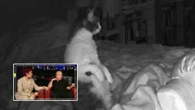 Well, can you see that cat's - The Osbournes Want to Believe