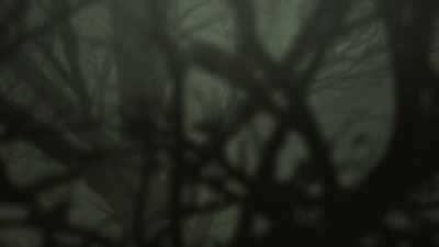 Well, you can't play here anymore.
We're clear-cutting everything. - ONI: Thunder God's Tale