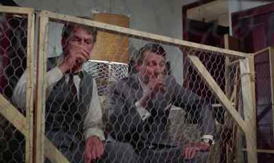 - Well, cheers.
- Cheers. - Ring of Bright Water