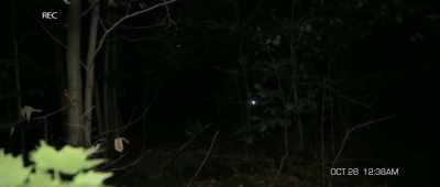 - We'll come back tomorrow.
- Hold on, just a little bit more. - The Gracefield Incident