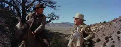 Well, you couldn't hide a stray dog down
there, let alone a wagon, even from my eyes. - The Man from Laramie
