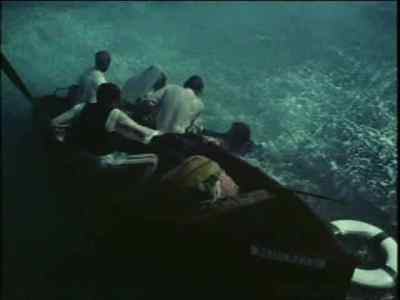 Well, Crichton, what's going on? - Paradise Lagoon