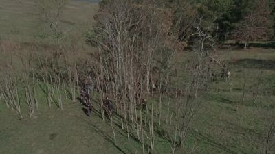Well, damn, Rick, look at that. - The Walking Dead