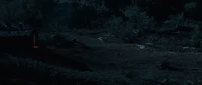 Well that didn't pan out - True Grit