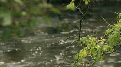 We'll discover historic Killaloe - World's Most Scenic River Journeys