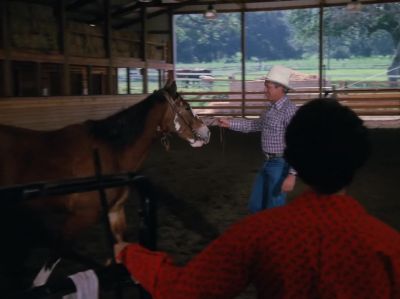 Well, do you like her, huh? - Dallas