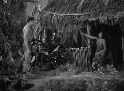Well, do you like it? - Bird of Paradise