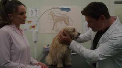Well, he doesn't have an ID chip - The More Love Grows