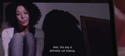 Well, this dog
doesn't help at all. - The Pink Cloud