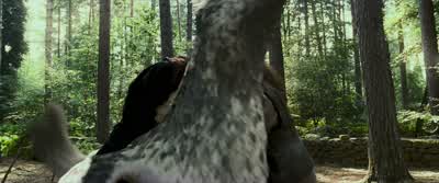 Well done, Harry, and well done, Buckbeak. - Harry Potter and the Prisoner of Azkaban