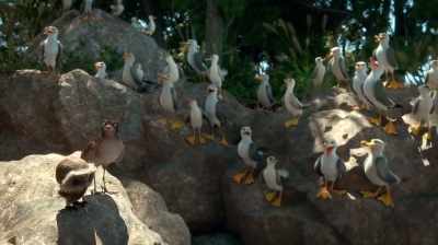 Well done. That's my son!
Whoo-hoo! - Manou the Swift