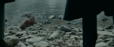 Well done, you two. - Fantastic Beasts: The Secrets of Dumbledore