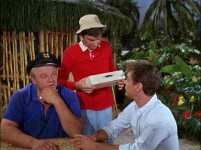 WELL, DON'T JUST
STAND THERE,
PUT IT DOWN. - Gilligan's Island