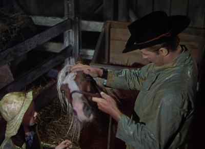 Well, he don't
look too chipper. - The Red Pony