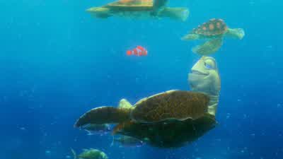 Well, Dory and I need to get to Sydney. - Finding Nemo