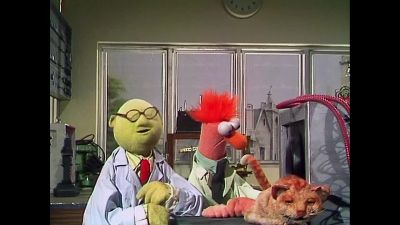 Well Dr Bunsen Honeydew - The Muppet Show
