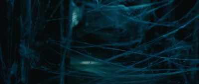 Well, Dr. Vance, Dr. Langer,
I've got to be going. Thank you. - Giant Spider