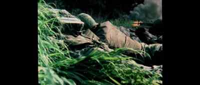 Well, drive on, then. - More American Graffiti