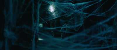 Well, everything fits.
Einstein's general theory - Giant Spider