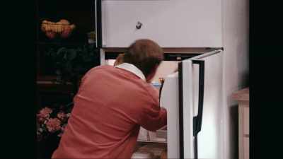 Well, Freddy, looks like
this fridge has gone to meet its maker. - American Born Chinese