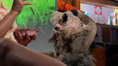 Well, fresh from nature, - Fraggle Rock: Back to the Rock