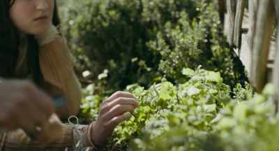 We'll get some mint, - Catherine Called Birdy