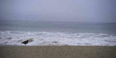 We'll go for a walk to the beach." - They Call Me Magic
