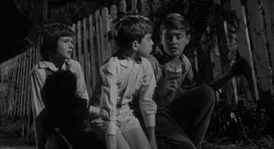 We'll go around back, - To Kill a Mockingbird